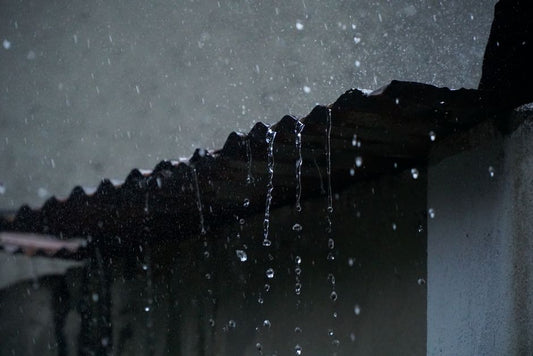 The Science of Rainwater Harvesting: Why a Rain Barrel Is Not a Magic Fix