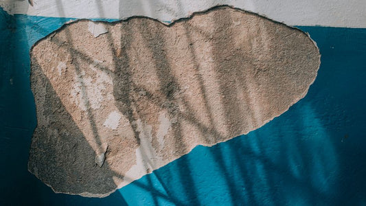 How to Repair a Damaged Rental Wall Without Losing Your Deposit
