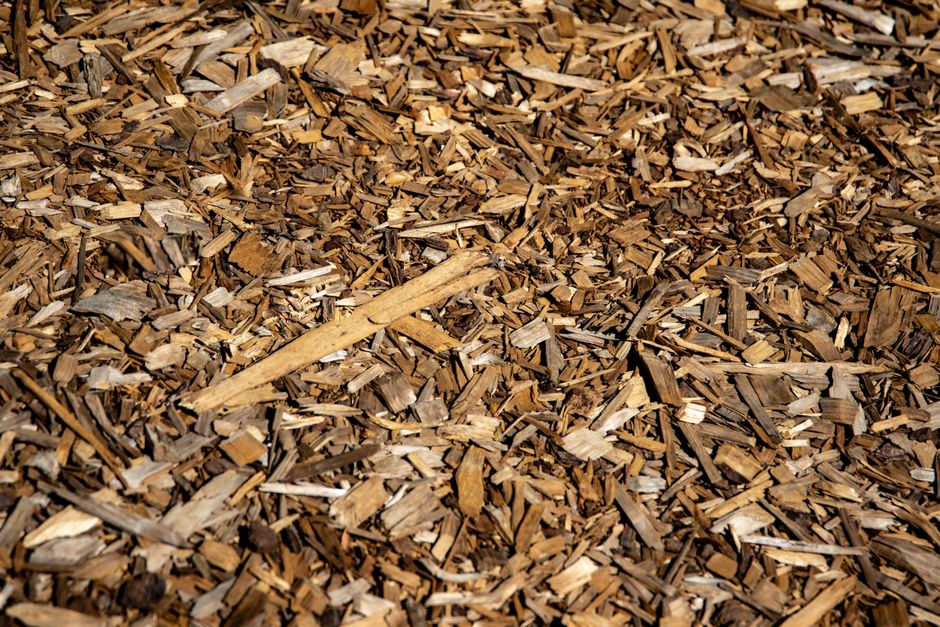 The Complete Step-by-Step Guide to Mulching Garden Beds for Maximum Soil Health