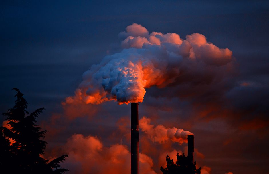 Household Carbon Footprints: What Busy Families Should Actually Change First