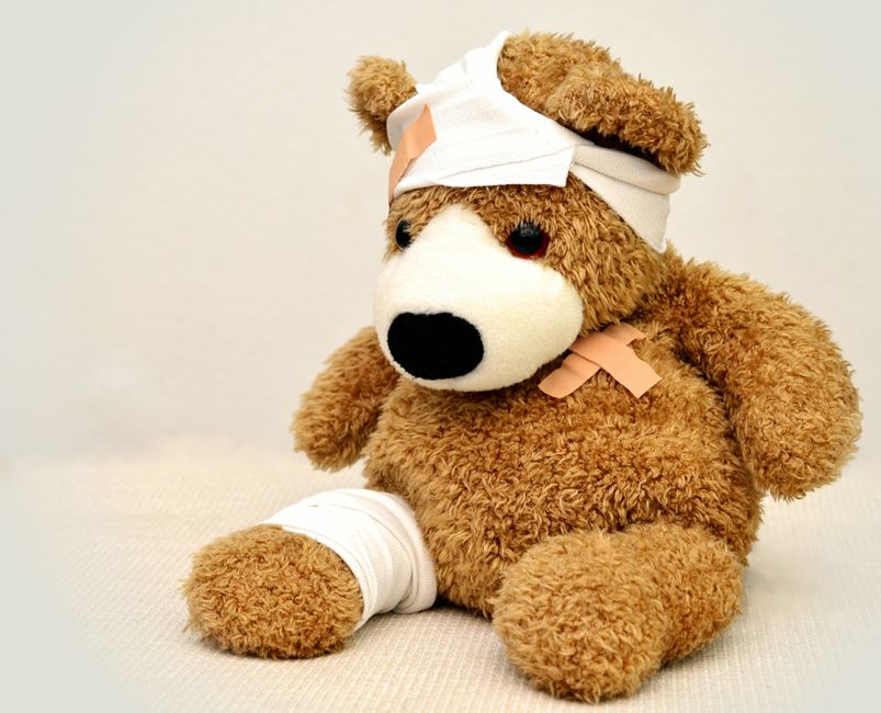 Step-by-Step Guide to Managing Pet Wounds and Injuries at Home