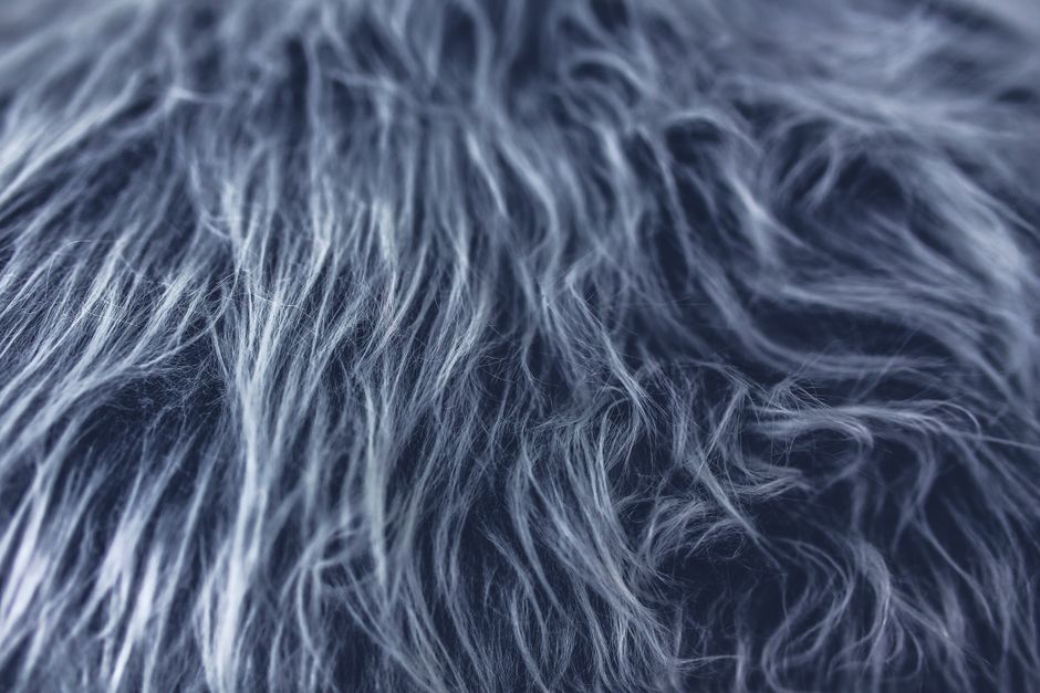Why Pet Hair Clings to Some Fabrics and Not Others — and How to Remove It Without Damaging the Surface