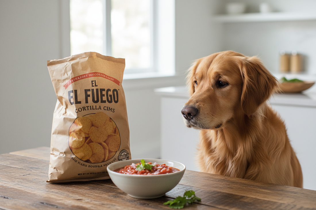 Can Dogs Eat Tortilla Chips