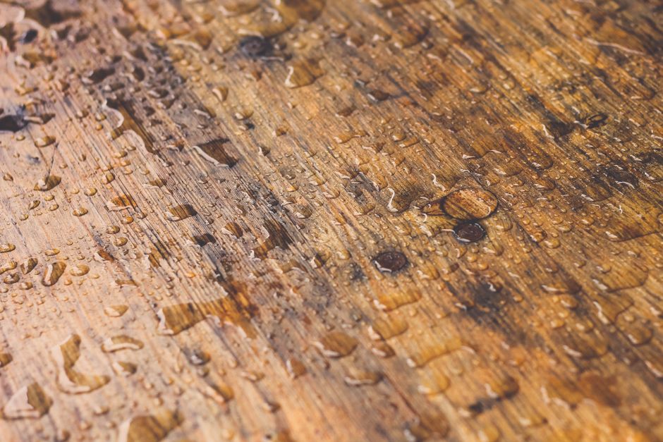What to Measure Before You Stain or Finish Wood: Moisture, Grain, and Surface Conditions